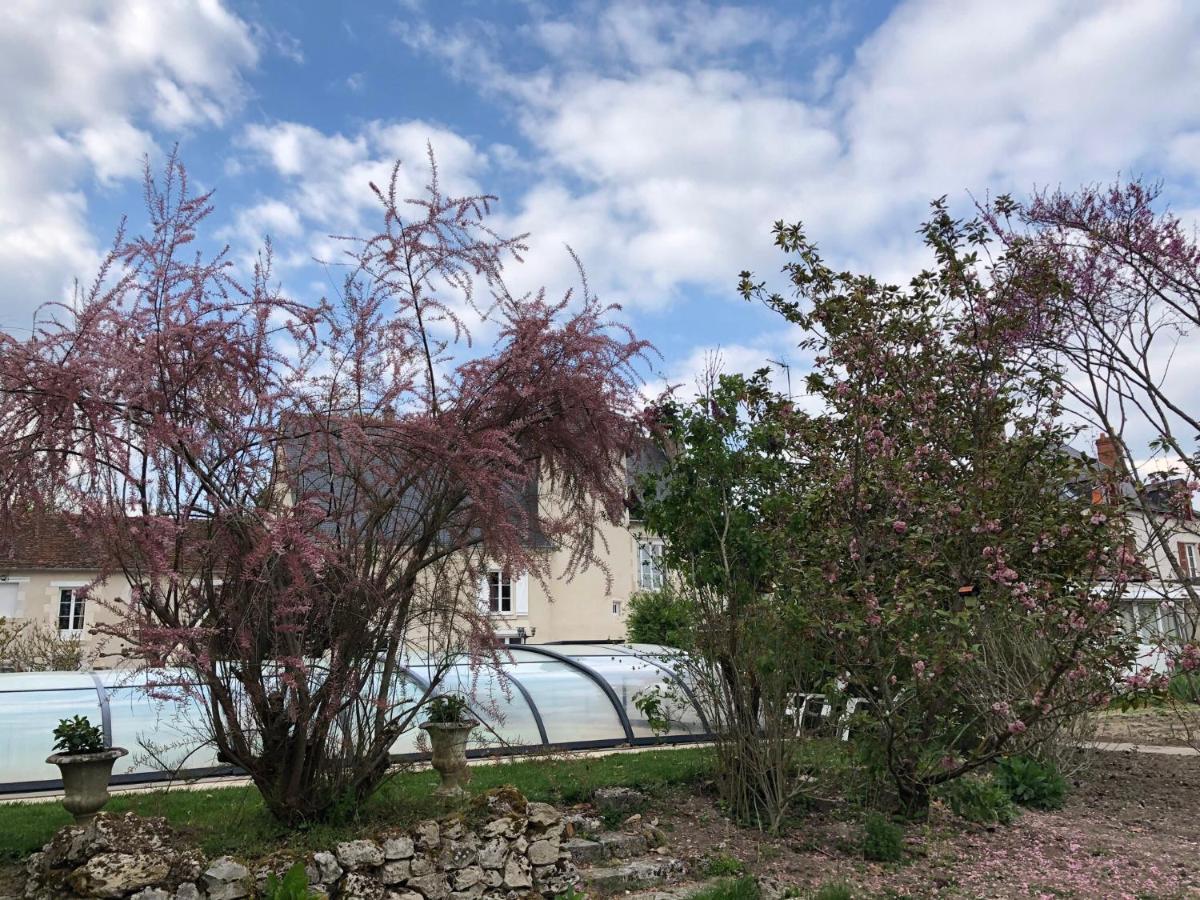 Manoir Le Bout Du Pont Bed & Breakfast Huisseau-sur-Cosson Exterior photo