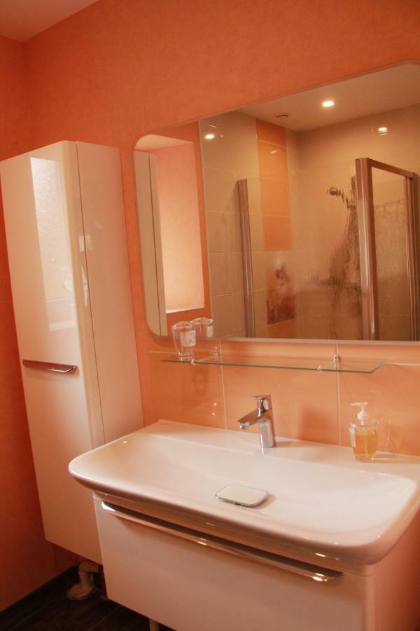 Manoir Le Bout Du Pont Bed & Breakfast Huisseau-sur-Cosson Exterior photo